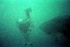 Yomitan, Okinawa: diver tries to outswim 28' male whale shark