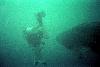 Yomitan, Okinawa: diver tries to outswim 28' male whale shark